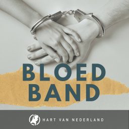 Artwork for Bloedband