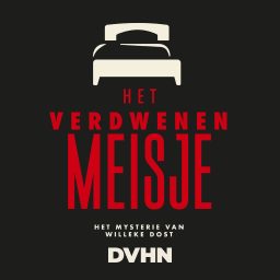 Artwork for Het verdwenen meisje
