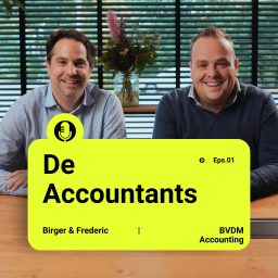 Artwork for De Accountants
