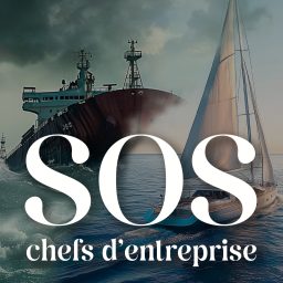 Artwork for SOS chefs d'entreprise