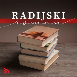 Artwork for Radijski roman