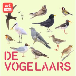 Artwork for De Vogelaars
