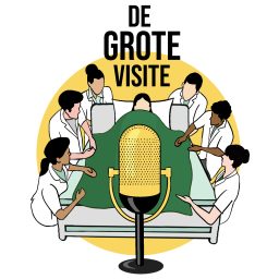 Artwork for De Grote Visite