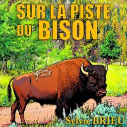 Artwork for Sur la Piste du BISON