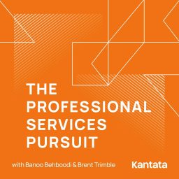 Artwork for The Professional Services Pursuit