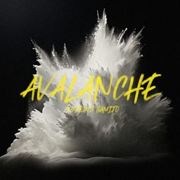 Artwork for Avalanche