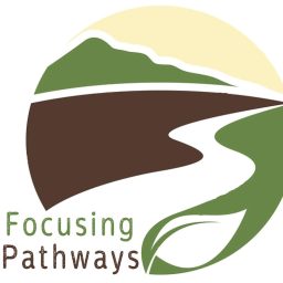 Artwork for Focusing Pathways