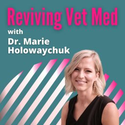 Artwork for Reviving Vet Med