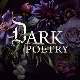 Artwork for Dark Poetry