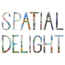 Artwork for Spatial Delight