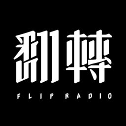 Artwork for 翻转台电（翻电）