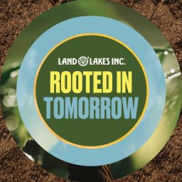 Artwork for Rooted In Tomorrow