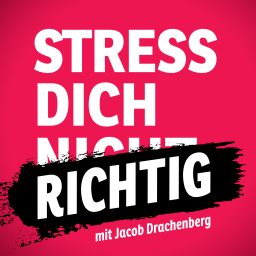 Artwork for Stress dich richtig