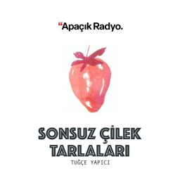 Artwork for Sonsuz Çilek Tarlaları