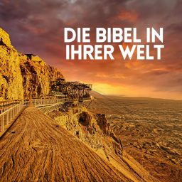 Artwork for Die Bibel in ihrer Welt