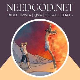 Artwork for NeedGod.net Live