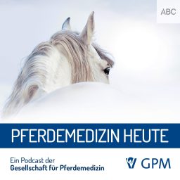 Artwork for Pferdemedizin heute