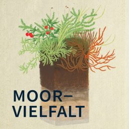 Artwork for Moorvielfalt