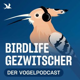 Artwork for BirdLife Gezwitscher