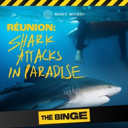 Artwork for Shark Attacks in Paradise