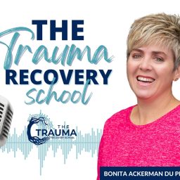 Artwork for The Trauma Recovery School