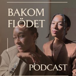 Artwork for BAKOM FLÖDET