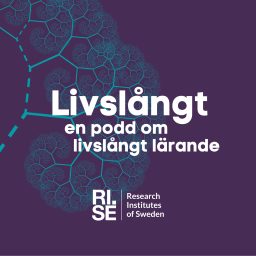 Artwork for Livslångt