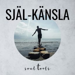 Artwork for SjälKänsla