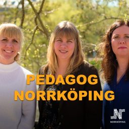 Artwork for Pedagog Norrköping