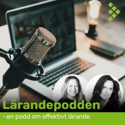 Artwork for Lärandepodden
