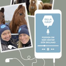Artwork for Gilla häst-podden