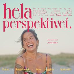 Artwork for Hela Perspektivet