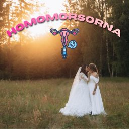 Artwork for HomoMorsorna