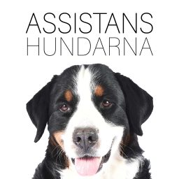 Artwork for Assistanshundarna