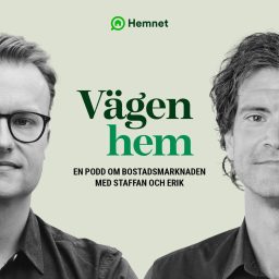 Artwork for Vägen hem