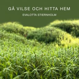 Artwork for Gå vilse och hitta hem