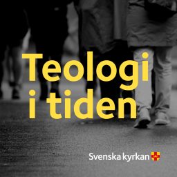 Artwork for Teologi i tiden