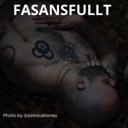 Artwork for Fasansfullt