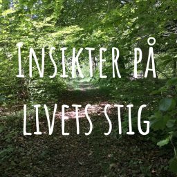Artwork for Insikter på livets stig