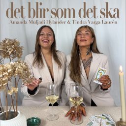 Artwork for Det blir som det ska