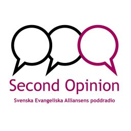 Artwork for Second Opinion