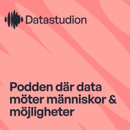 Artwork for Datastudion