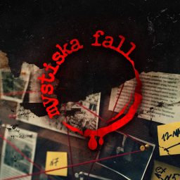 Artwork for Mystiska fall