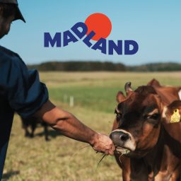 Artwork for Madland Podcast