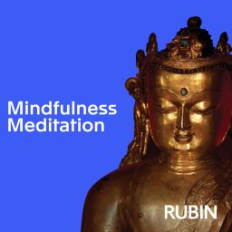 Artwork for Mindfulness Meditation Podcast