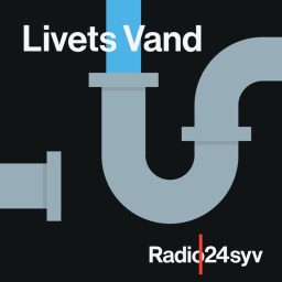 Artwork for Livets Vand