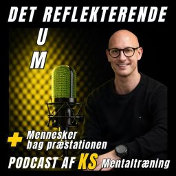 Artwork for Det Reflekterende Rum