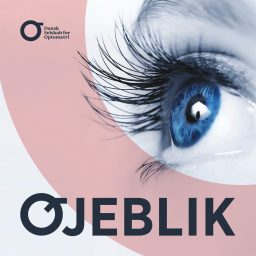 Artwork for Øjeblik