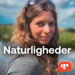 Artwork for Naturligheder