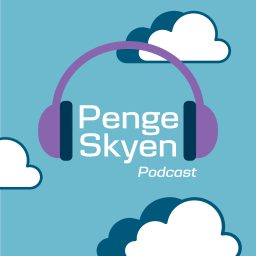 Artwork for PengeSkyen
